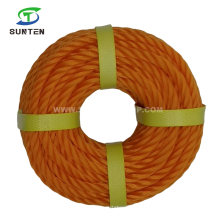 High Quality PE/HDPE/Nylon/Polyethylene/Fiber/Plastic/Fishing/Marine/Mooring/Packing/Twisted Rope